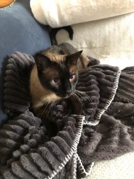 Riki Bild von Riki