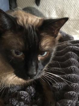 Riki Bild von Riki