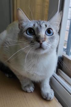 Clara Bild von Clara