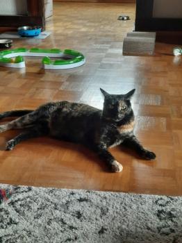 Priscila Bild von Priscila