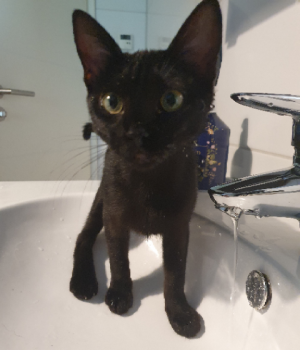Lola Bild von Lola