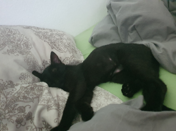 Lola Bild von Lola