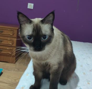 Elda Bild von Elda