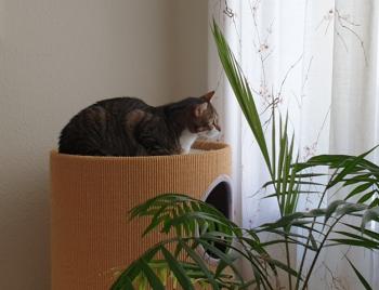 Bild von Lin