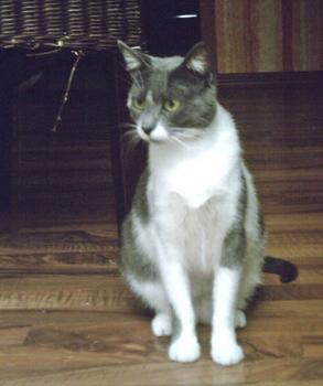 Bild von Katty