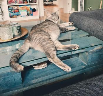 Moli Bild von Moli