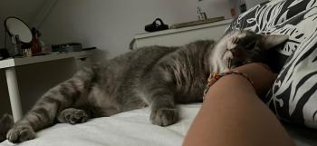 Moli Bild von Moli