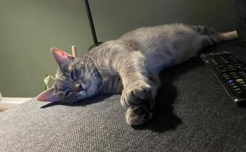 Moli Bild von Moli