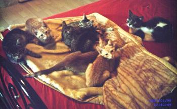 Bild von Katty