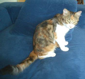 Bild von Naomi