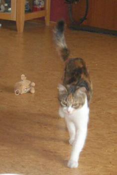 Bild von Naomi