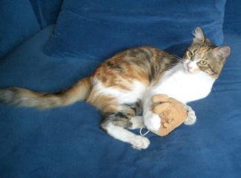 Bild von Naomi