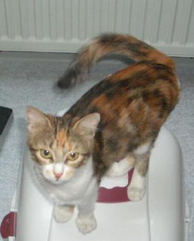 Bild von Naomi