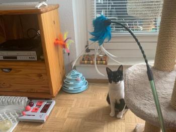 Hilda Bild von Hilda