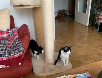 Feli Bild von Feli