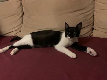 Hilda Bild von Hilda