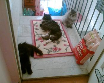 Zeidan Bild von Zeidan