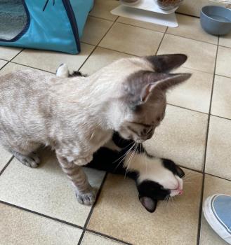 Camilo Bild von Camilo