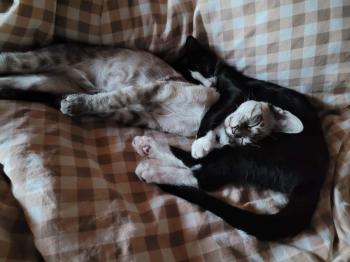 Camilo Bild von Camilo