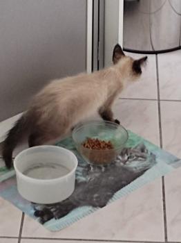 Talisa Bild von Talisa