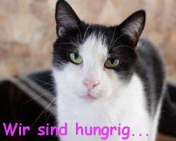 ERLEDIGT!!! Unser Nassfutter ist leer... News-Bild