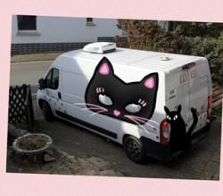 DREIZEHNTER Transport News-Bild